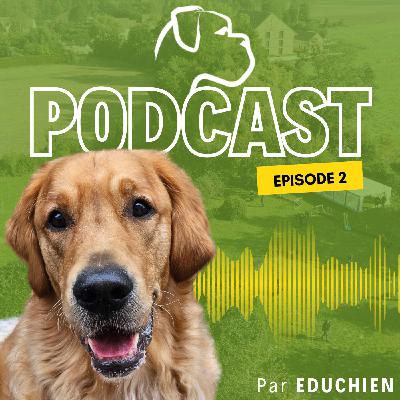 La FRIANDISE, alliée ou dépendance ?  - EDUCHIEN PODCAST 🎙️