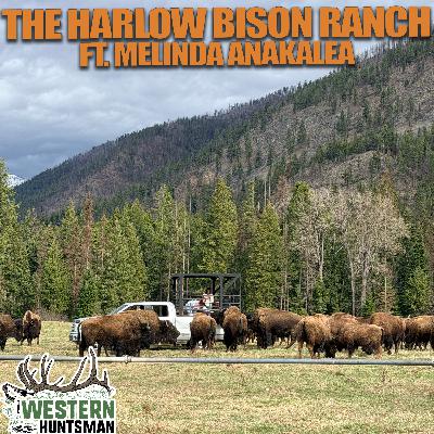 Ep. 256 | The Harlow Bison Ranch with Melinda Anakalea