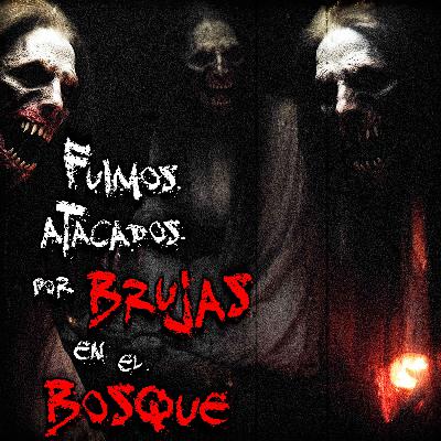 Las Brujas del Bosque de La Primavera
