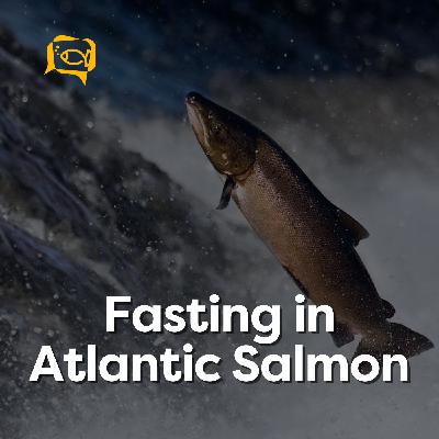 Fasting in Atlantic Salmon | Ep. 13
