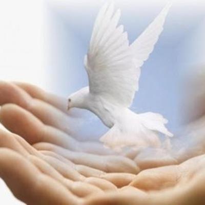 49. Trascender la muerte de un ser querido con amor. Reflexiones de la cuarentena