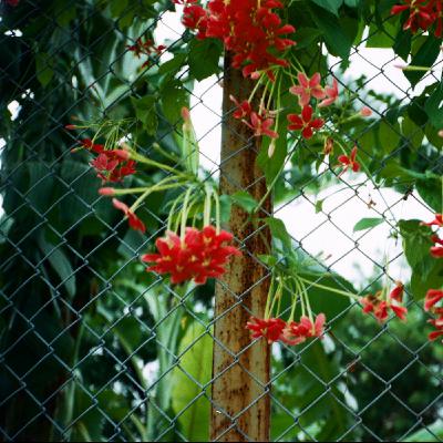 幹怎麼還不閉嘴之大膽說出你ㄉ愛 幹怎麼還不閉嘴之大膽說出你ㄉ愛