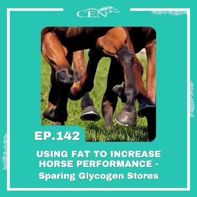 Ep. 142 | USING FAT TO INCREASE HORSE PERFORMANCE - Sparing Glycogen Stores