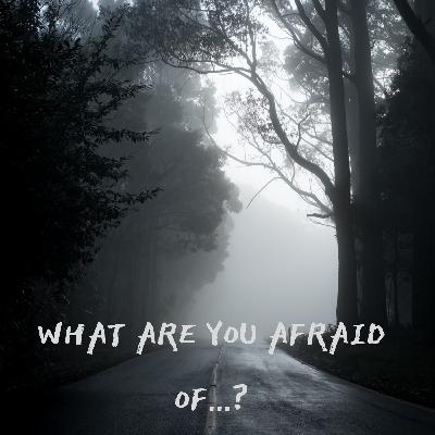 What Are You Afraid Of?