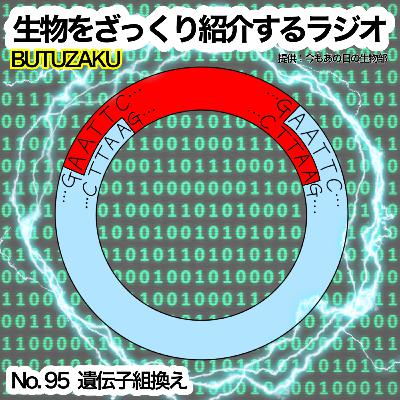 第95話：✉️「遺伝子組換え」をざっくり紹介