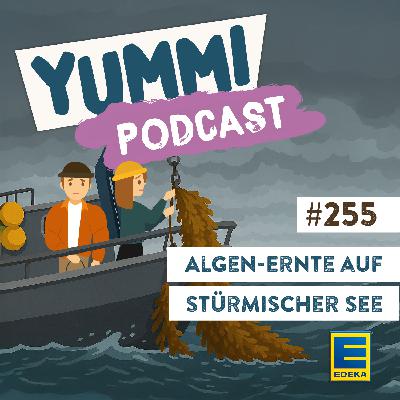 Algen-Ernte auf stürmischer See Algen-Ernte auf stürmischer See