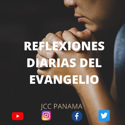 Reflexión del Evangelio ,"JESÚS SE RETIRA A LA ORILLA DEL MAR CON SUS DISCÍPULOS"