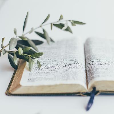 Voddie Baucham: Why We Trust the Bible (2 Peter 1:16-21)