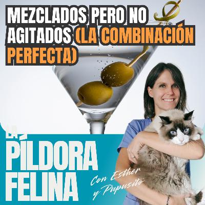 633. Mezclados pero no agitados (la COMBINACIÓN PERFECTA) 633. Mezclados pero no agitados (la COMBINACIÓN PERFECTA)