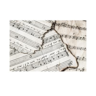 D Minor D Minor