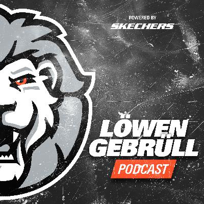 Neue Multifunktionsarena: "Wachstum braucht eine andere Spielstätte" (Andreas Stracke)