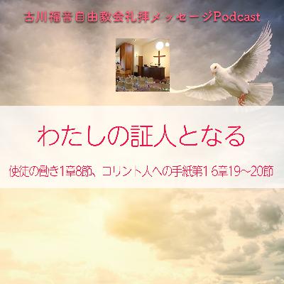 わたしの証人となる