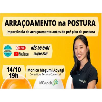 Arraçoamento na Postura | Importância do arraçoamento antes do pré pico de postura - Mês do Ovo