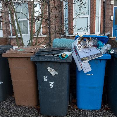 Eco-populism and private services