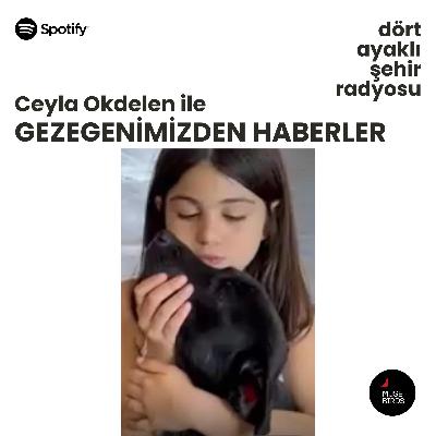 Gezegenimizden Haberler - Ceyla Okdelen | Dört Ayaklı Şehir Radyosu 1 Yaşında!