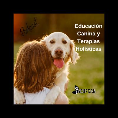 EDUCACIÓN CANINA Y TERAPIAS HOLÍSTICAS