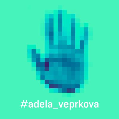 Zz4.p, e3. ADÉLA VEPŘKOVÁ