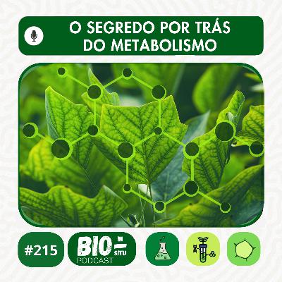 215 - O segredo por trás do metabolismo
