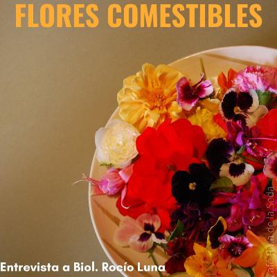 Flores Comestibles
