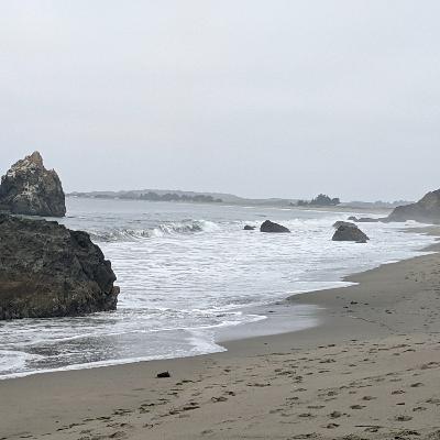 Relaxing ocean sounds from Bodega Bay, CA (7 hour)- ocean waves, sleep, relaxation, meditation, studying, white noise, baby sleep, pink noise