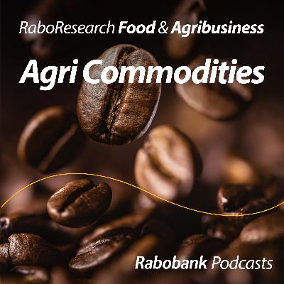 Coffee prices: Short term and long term diverge