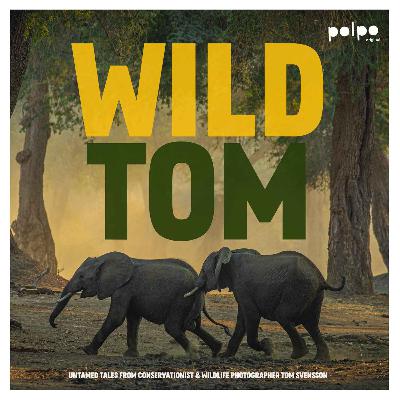 Trailer -  Wild Tom