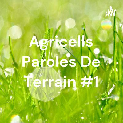 Agricells Paroles De Terrain #1 (Trailer) Agricells Paroles De Terrain #1 (Trailer)