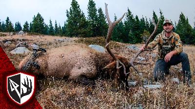 S:16 8 Days, 1 Bull – Public Land Elk Hunting Success