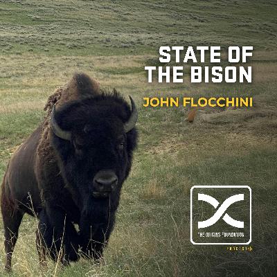 Episode 604 - Jon Flocchini || State Of Bison