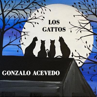 Gonzalo Acevedo Fotografía - Fotografía de 15 años