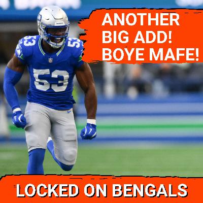 EDGE SPLASH! Bengals Add Boye Mafe to Boost Pass Rush
