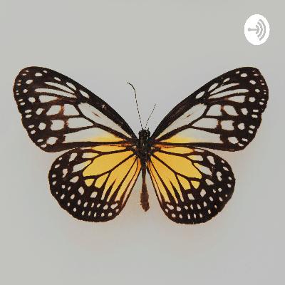 Relaciones a distancia