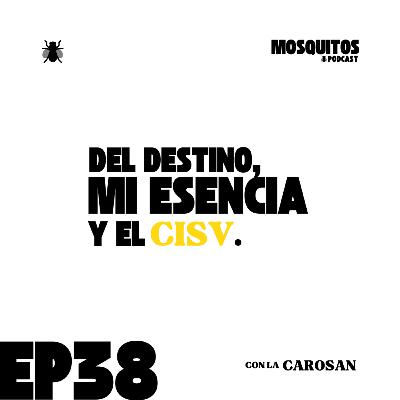 Del destino, mi esencia y el CISV