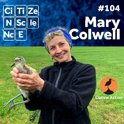 #104 - Mary Colwell | Curlew Action | Ground Nesting & Migratory Birds