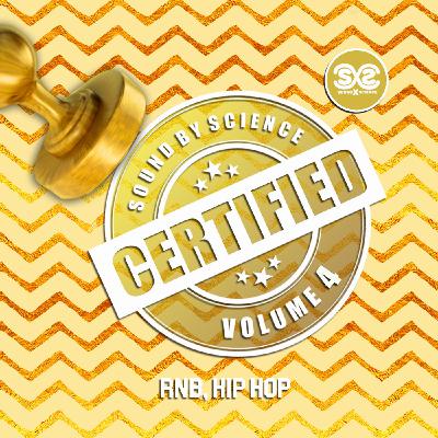 Certified Vol. 4 (RnB & Hip Hop DJ Mix 2020)
