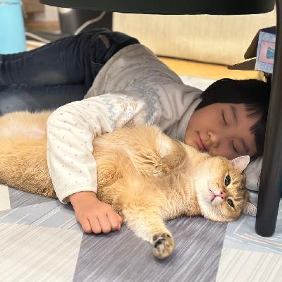 No.61|谈谈“苦劳”顶什么用，以及情绪稳定的重要性