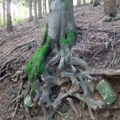 Femeia din interiorul meu