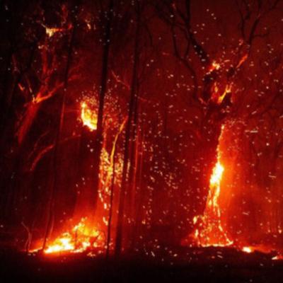 The Australian Bushfires.