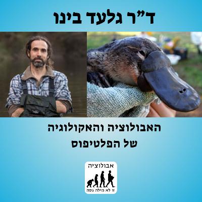 #45 ד"ר גלעד בינו- האבולוציה והאקולוגיה של הפלטיפוס