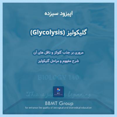 اپیزود سیزده - گلیکولیز (Glycolysis)