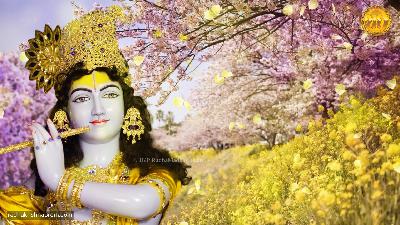 Aja aja aaja Kunjbihari, tohin parkhat sab nar nari _ Janmashtami 2025