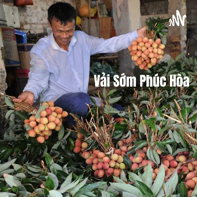 Tháng 5 về ai có nhớ vải thiều Lục Ngạn Bắc Giang