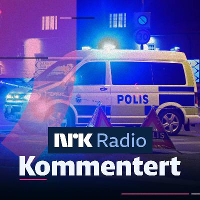 Kan gjengvolden i Sverige også skje i Norge?