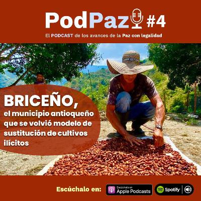 Briceño - Antioquia, modelo de sustitución de cultivos ilícitos