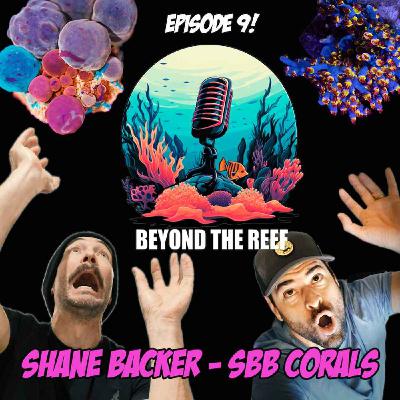 SBB Coral - Shane Backer
