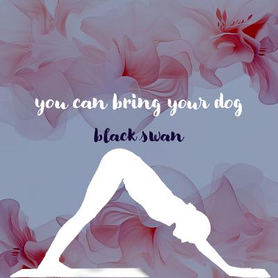02142026 You Can Bring Your Dog and Black Swan