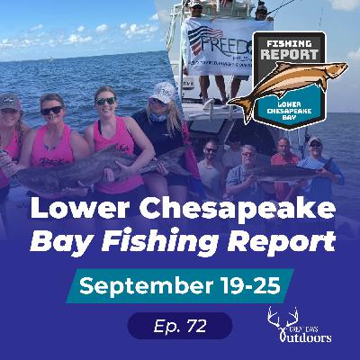 Last days of Cobia Season 2025 and wreck fishing for Tog, Seabass, Triggerfish & Flounder Last days of Cobia Season 2025 and wreck fishing for Tog, Seabass, Triggerfish & Flounder