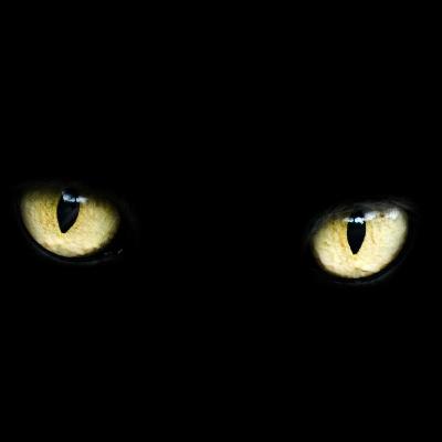 #30 Supersticiones 1/2