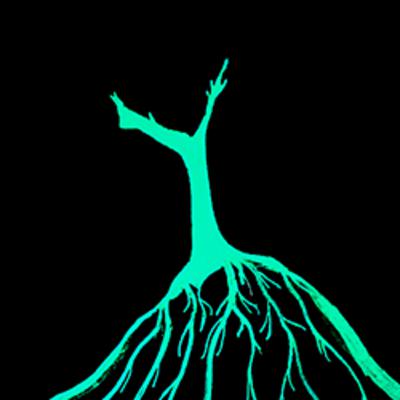 Episodi 16 - Rodoreda i el Liceu