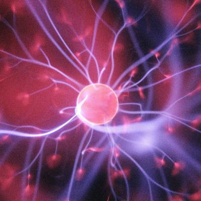 Fitness cognitivo: il cervello necessita emozioni, non solo esercizi Fitness cognitivo: il cervello necessita emozioni, non solo esercizi